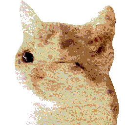 Bread kitty